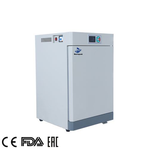 Heating Incubator ICBE